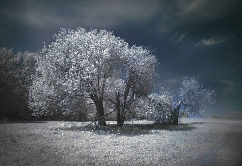 ir, Эдуард VTORNIK  Николаев