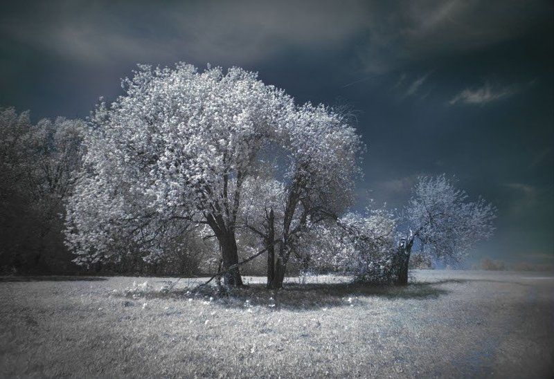ir IR фото превью