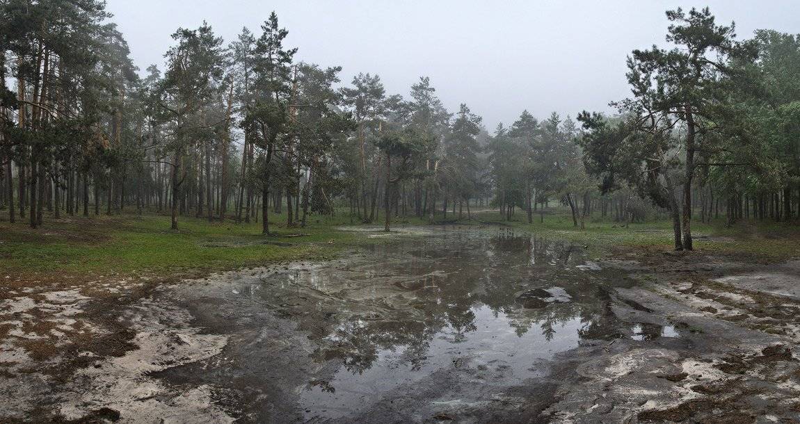 , Михаил Мочалов