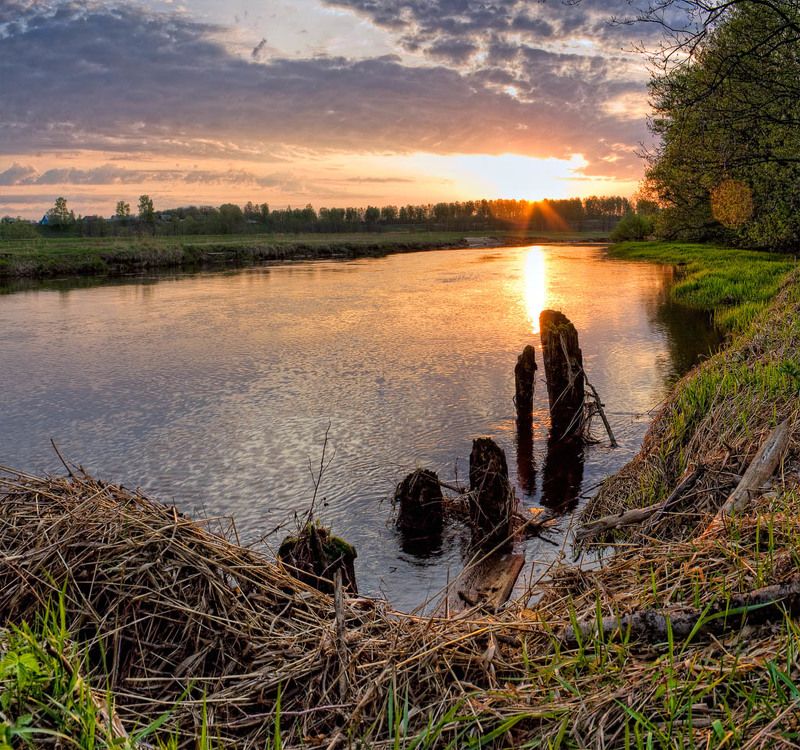 рассвет, утро, река встречаяя солнце фото превью