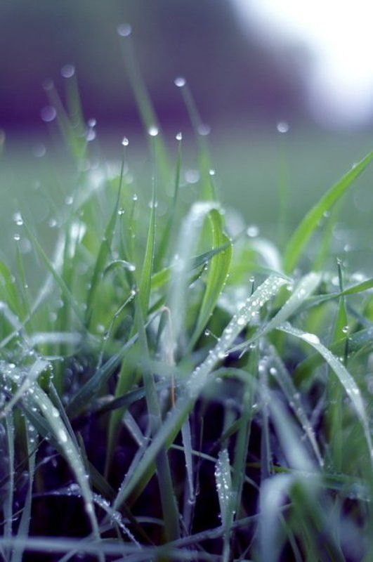 Салют фото превью