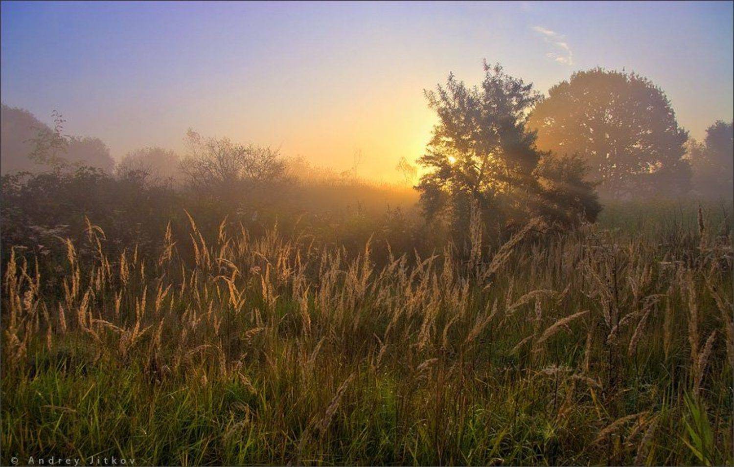 , Андрей Житков