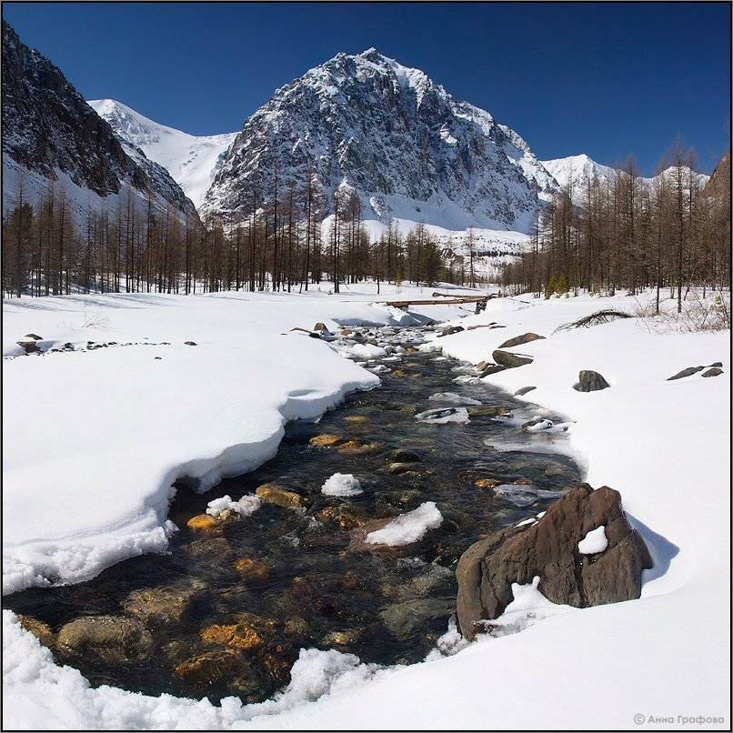 алтай, горы, горный алтай,  караташ, актру,  аня графова, Аня Графова