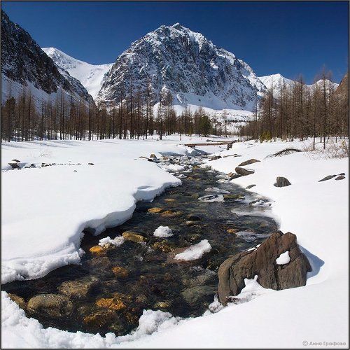 В долине Актру, такая вот новогодняя весна