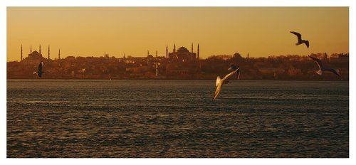 Берег турецкий...