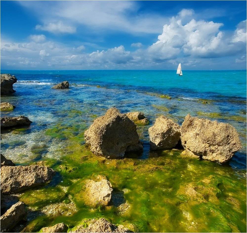 , Александр Беляев