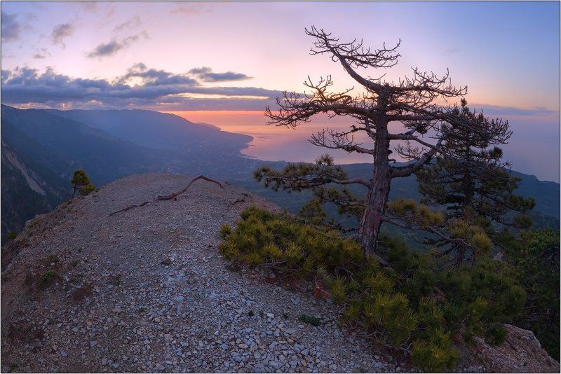 рассвет, крым, ялта утро над Ялтой фото превью