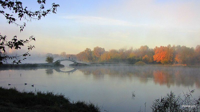 природа,пейзаж Природа фото превью