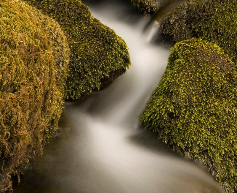 молочные реки фото превью