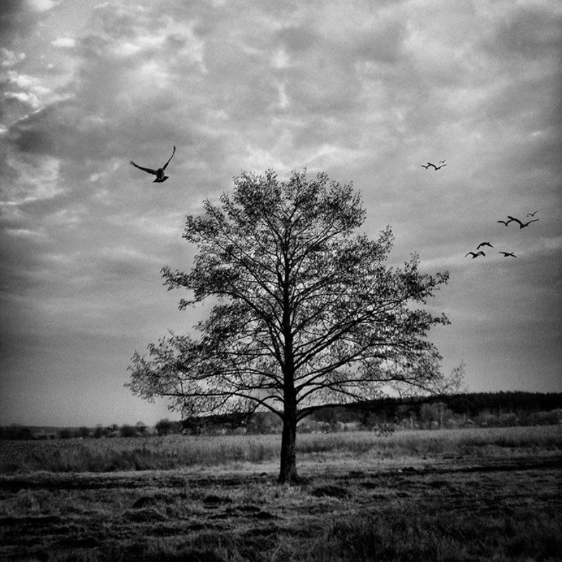 2007 фото превью