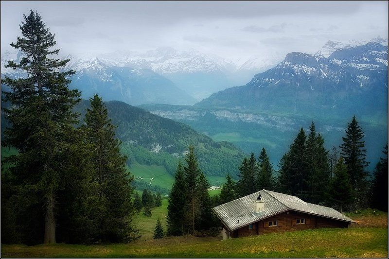 Прохладный май фото превью
