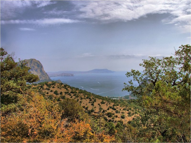 +++ фото превью