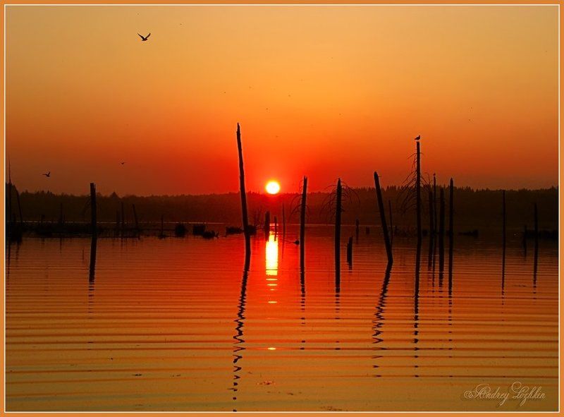 пейзаж,небо,закат,пруд,удмуртия Майским вечером на нашем пруду... фото превью