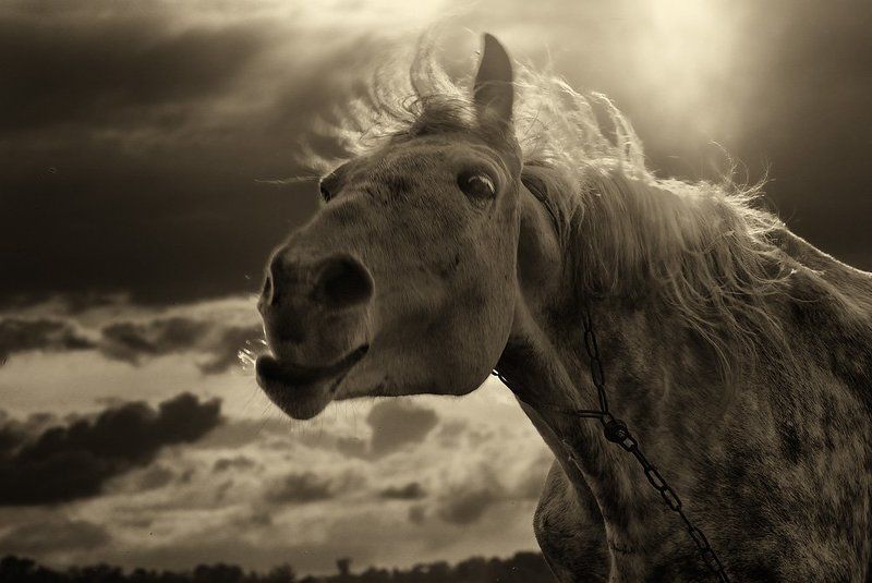 Здравствуйте! фото превью