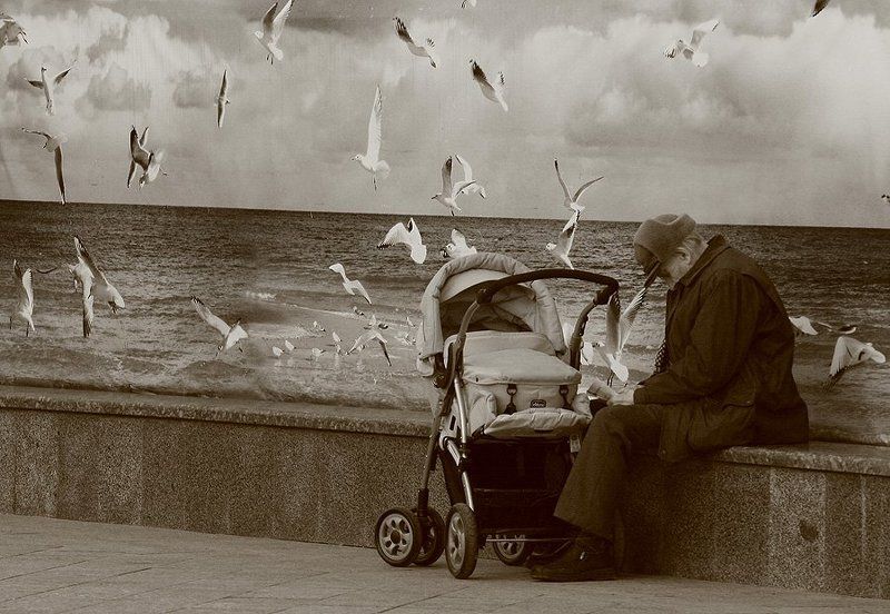 стена фото превью