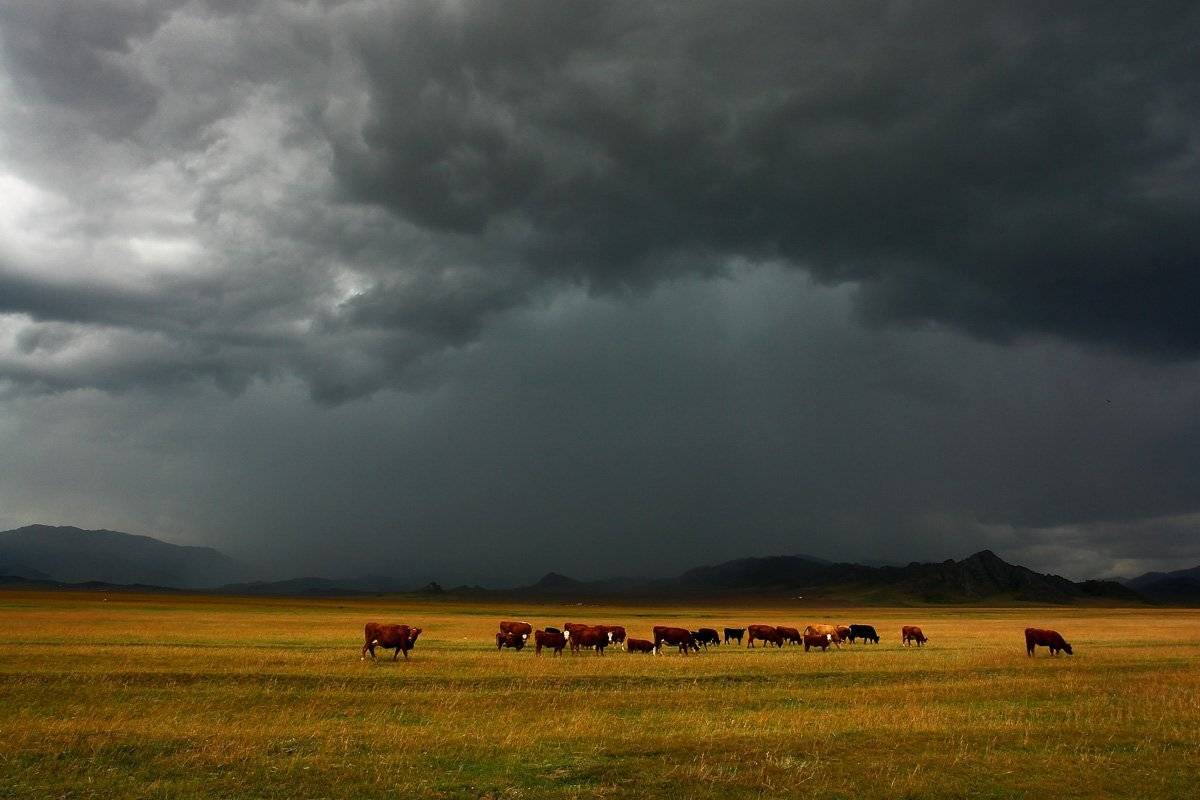 горный, алтай, осень, гроза, Наталья Кайзер