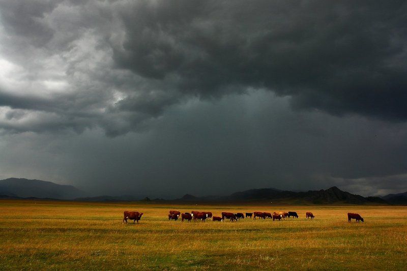 горный, алтай, осень, гроза \