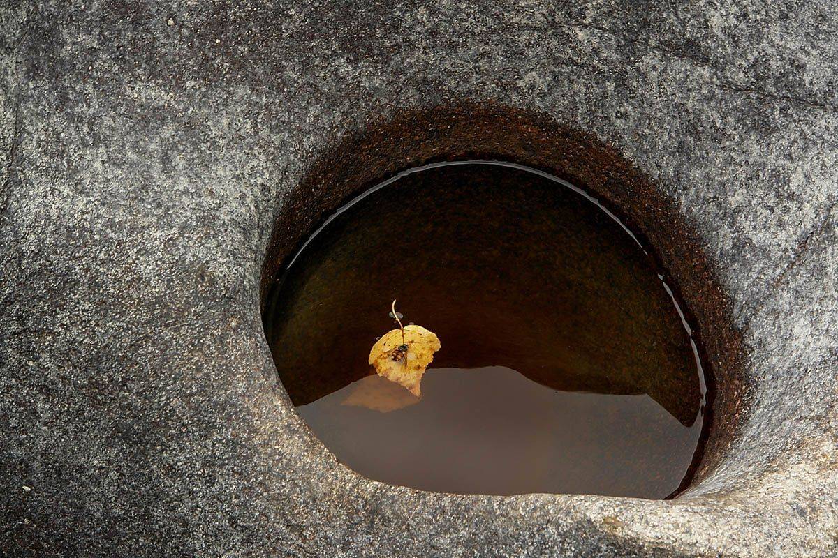 горный, алтай, камни, пчела, Наталья Кайзер