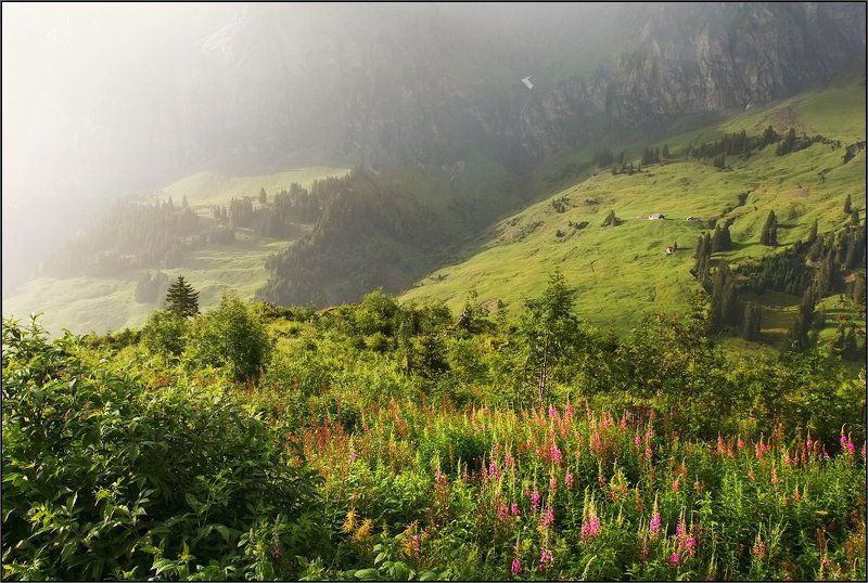 Солнечный дождь фото превью