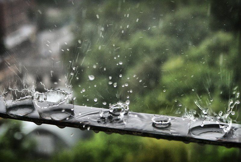 В Киеве сегодня дождь фото превью