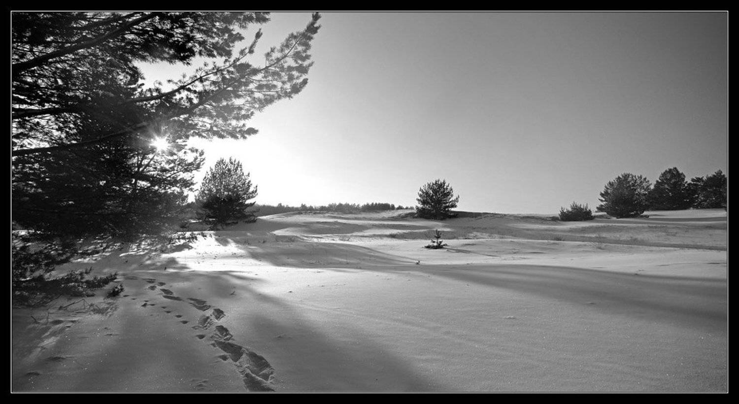 , Андрей Кобыща