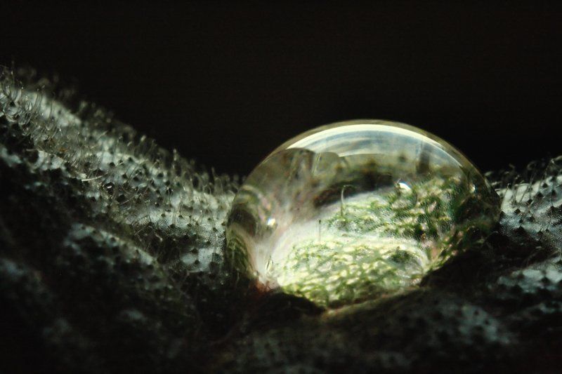 Н2O фото превью