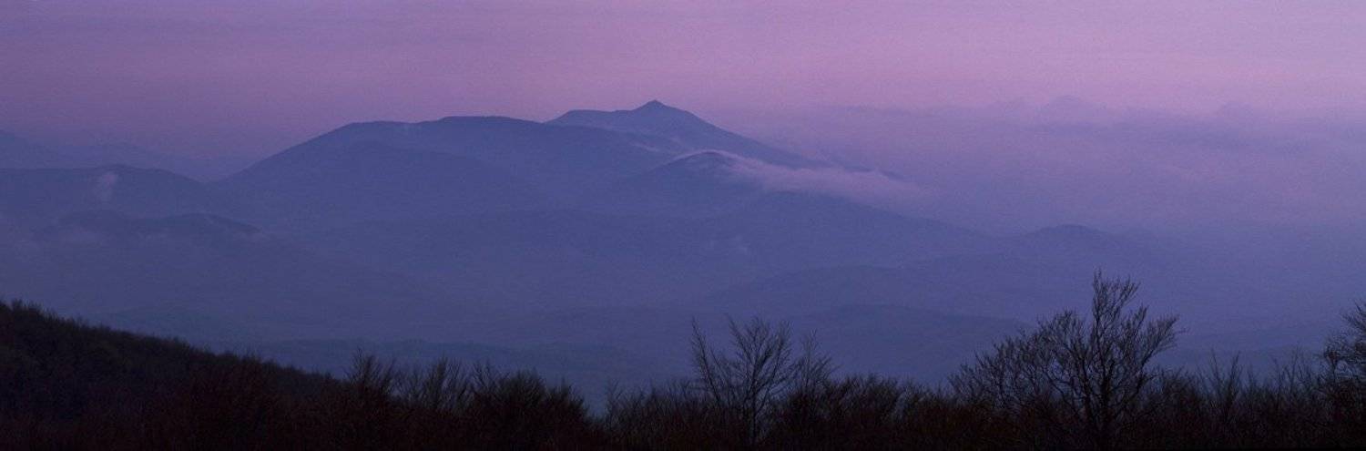 , Александр Ящук