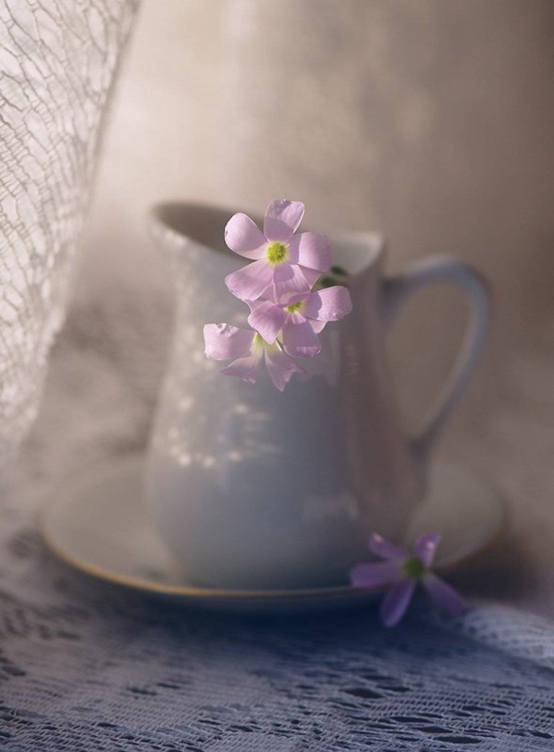 , Ольга Новикова