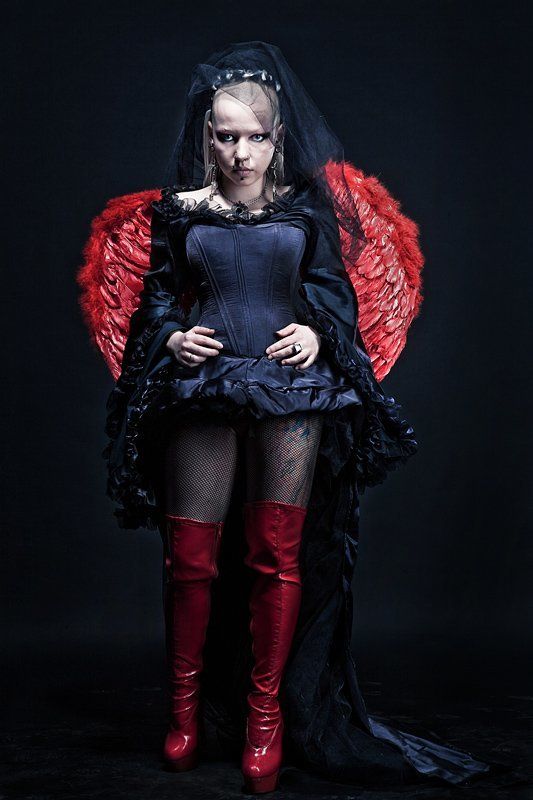 bird фото превью