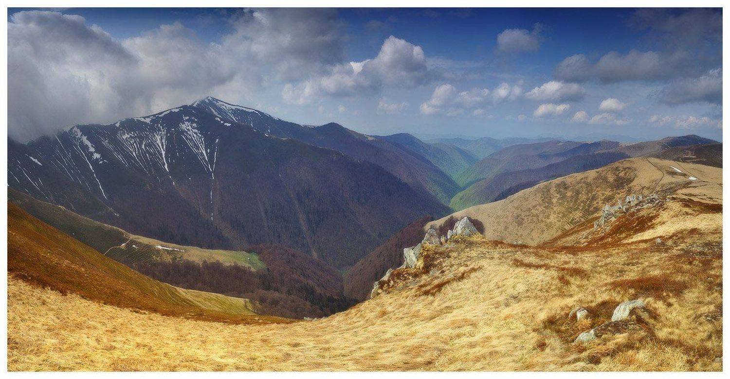 , Денис Кривой