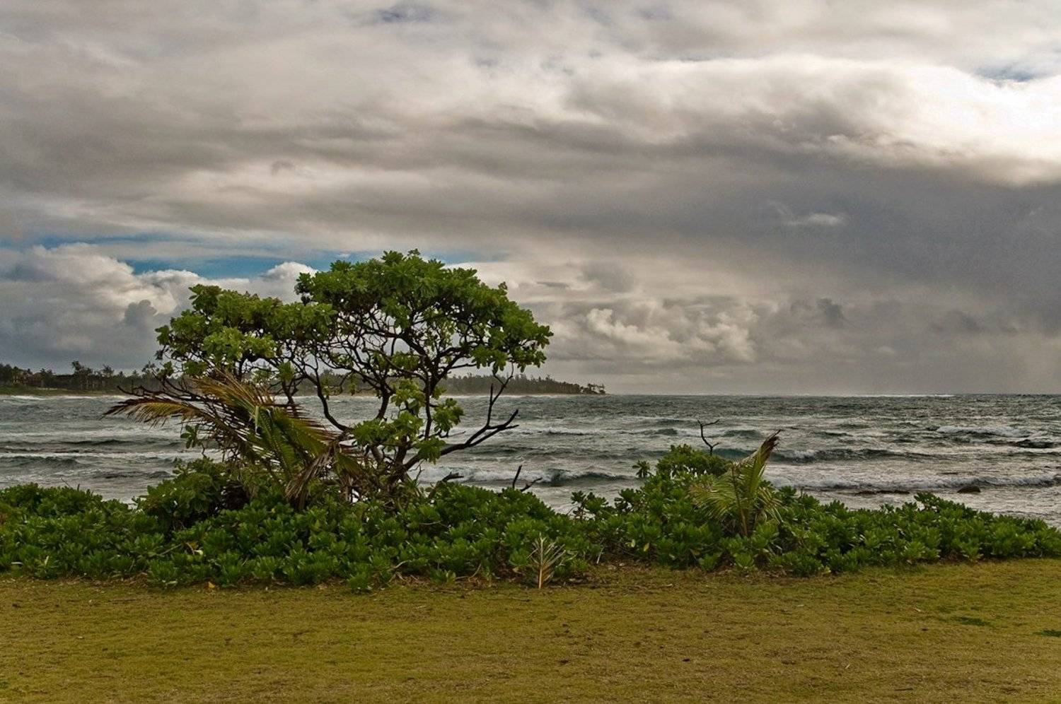 , Андрей Станко
