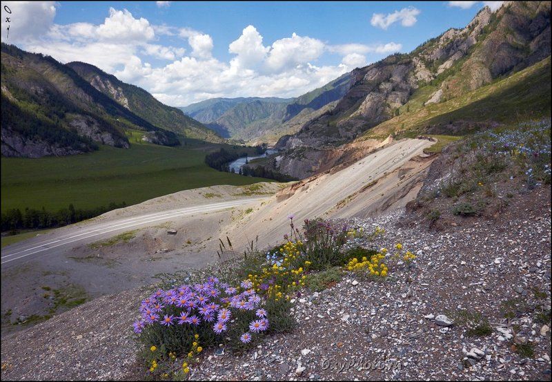 altai, russia, алтай, россия, белый бом, чуйский тракт, чуя Разноцветье... фото превью