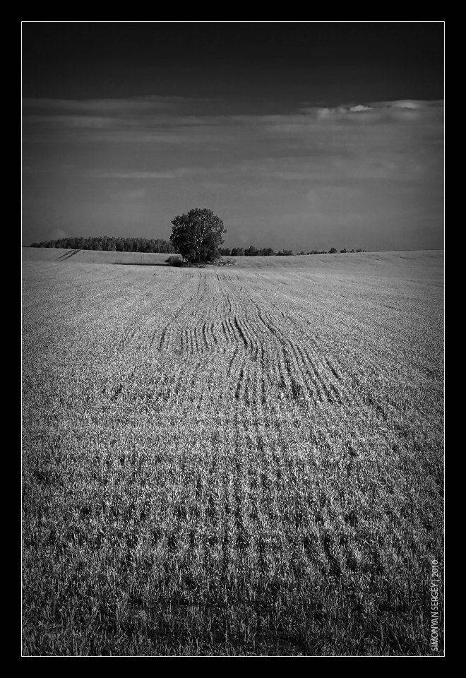 , Симонян Сергей