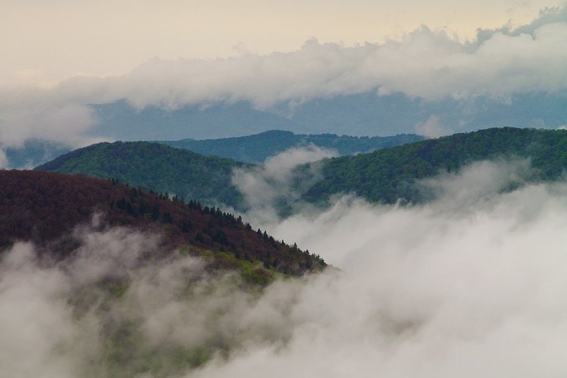 ... фото превью