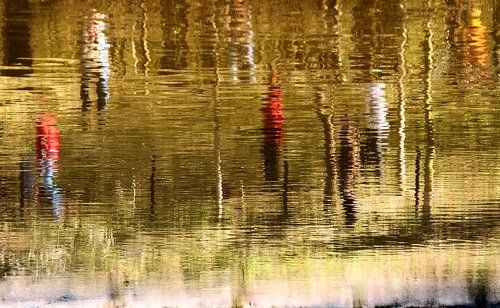 Майская прогулка... не в такт.. невпопад.. Кросовки, ботинки по лесу шуршат..