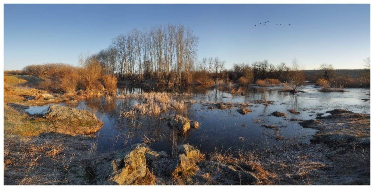 , Денис Кривой