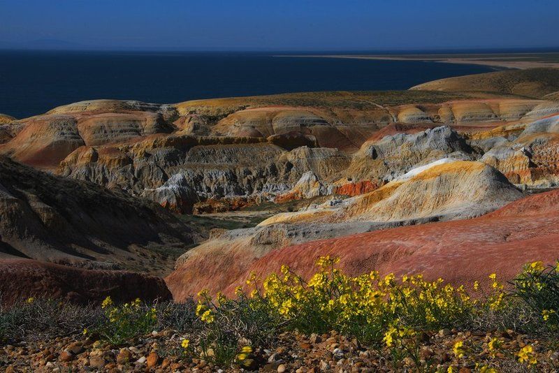 восточный, казахстан, весна Зайсан фото превью
