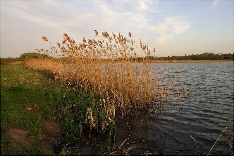 Ранним утром на рассвете... фото превью