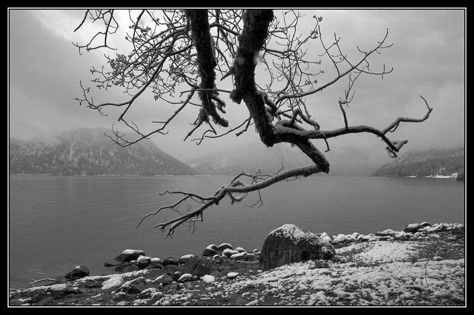 алтай, телецкое, озеро, Юрий Фролов