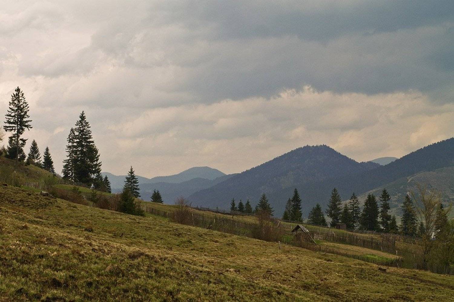 карпаты, боржава, Александр Ящук