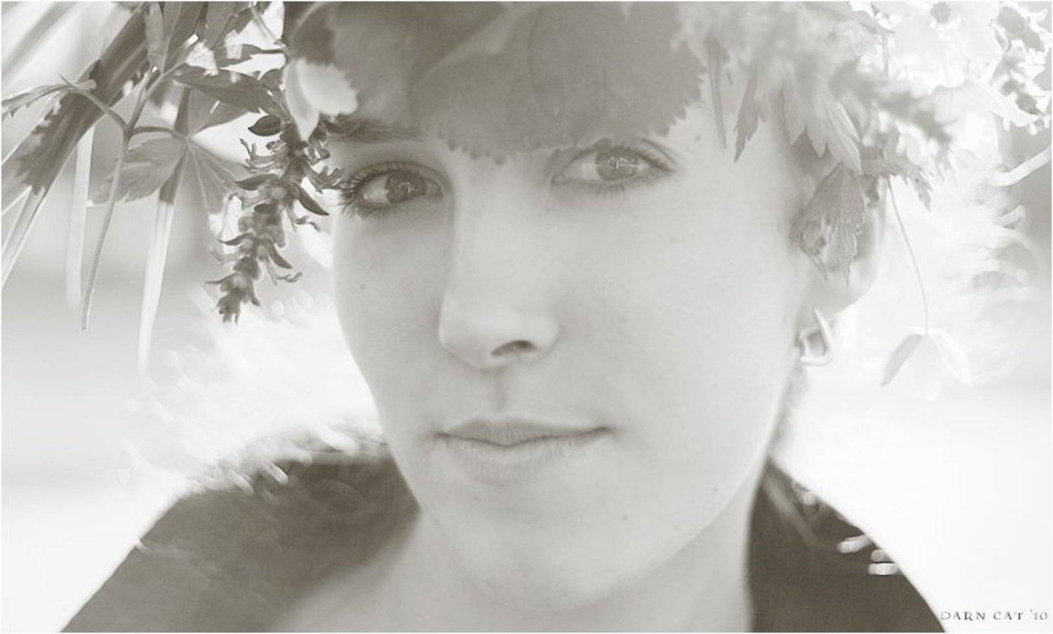 девушка, портрет, лето, венок, Darn Cat