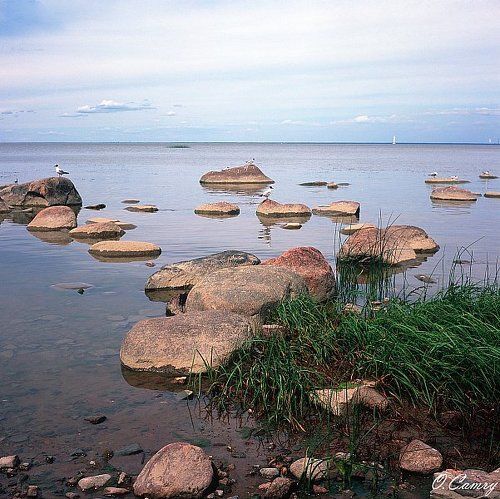 Финский залив.