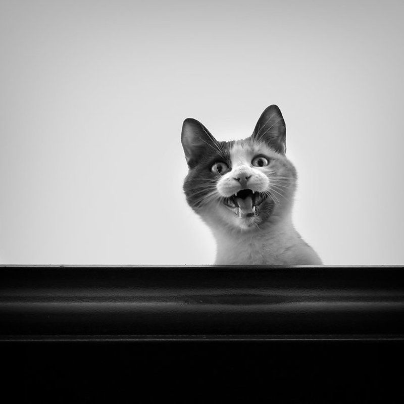 Снимите меня! фото превью