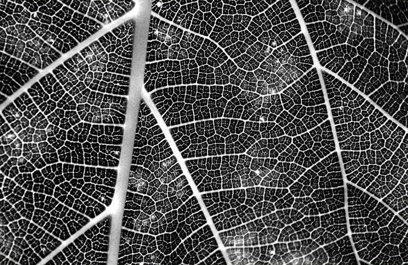 Градостроительство фото превью