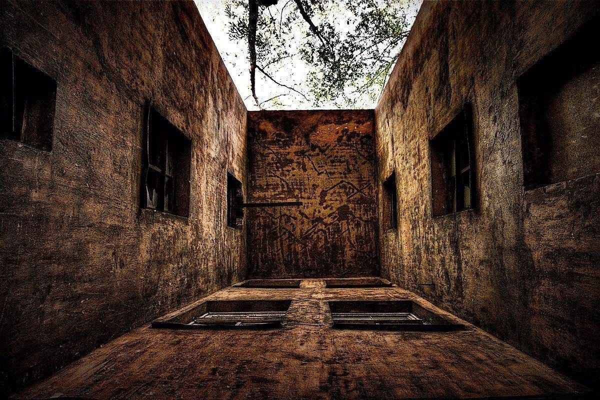 , Дмитрий Середов