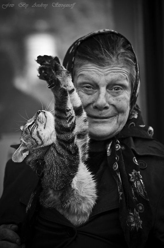 * * * * * фото превью