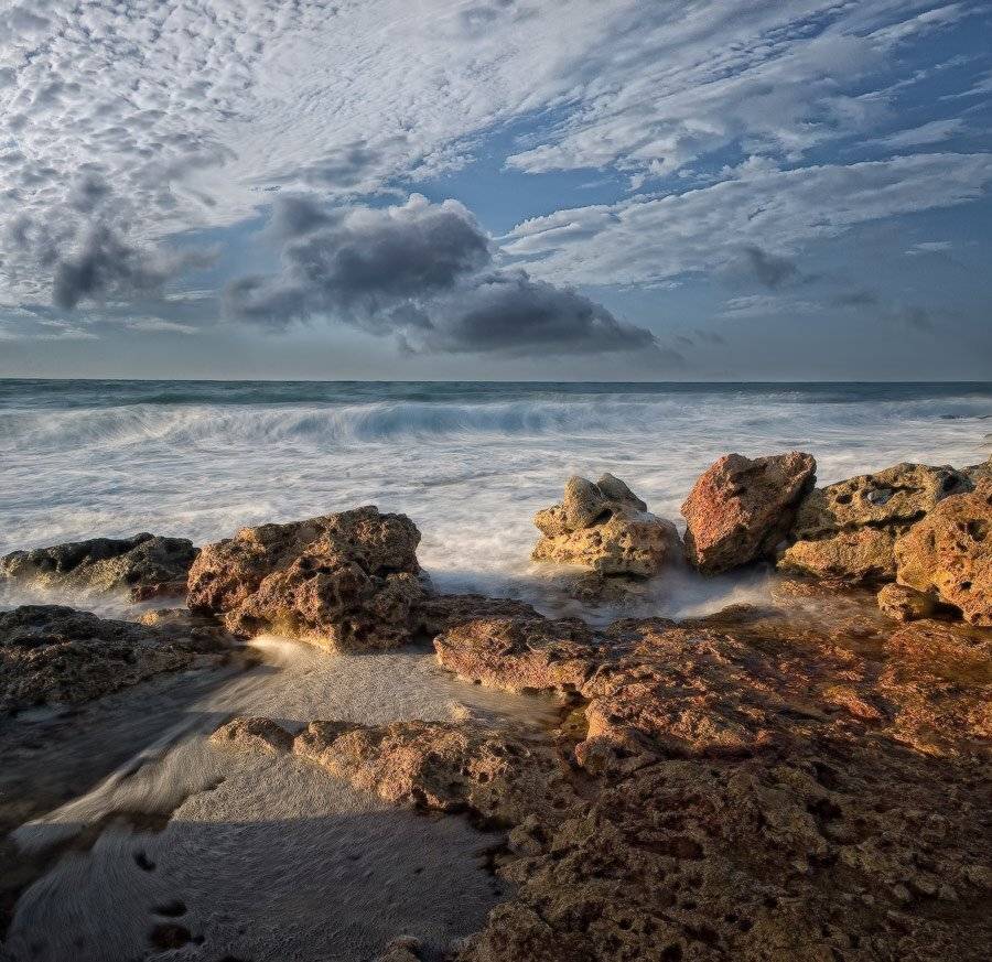 , Яна  Гайворонская