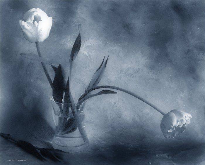 , Лариса Запатрина