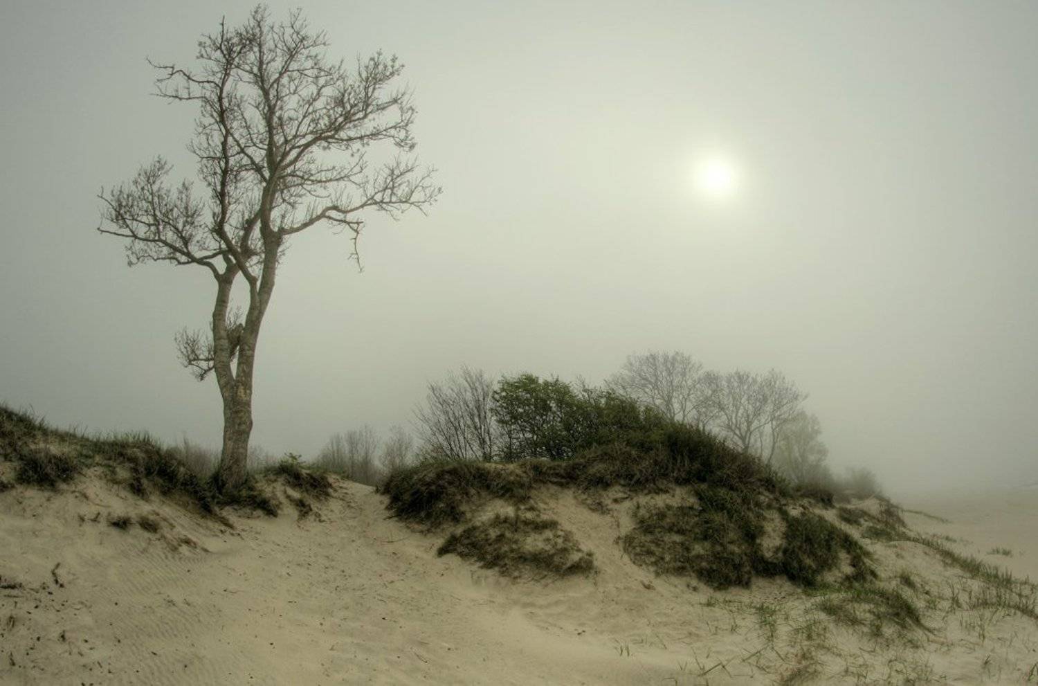 , Павел Дунюшкин