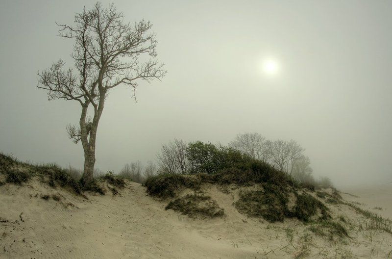 * фото превью